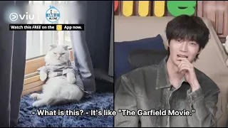 Ahn Jae Hyun Lives With His 10-year-old Cat, Anju, Who Behaves Like A Human? 🤣 | I Live Alone