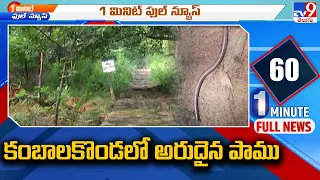 Visakhapatnam : కంబాలకొండలో అరుదైన పాము - TV9