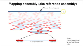 Genome Assembly - Overview Part 1