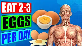 Eat 2 to 3 Eggs Per Day, and This Will Happen According to New Studies