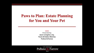 Paws to Plan: Estate Planning for You and Your Pet