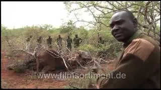 Global Ideas - Nachhaltigkeit weltweit: KENYA -- FOREST PROTECTION englisch (DVD / Vorschau)