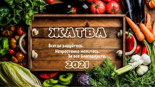 Праздник жатвы I 26.09.2021