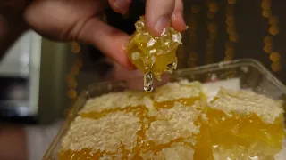 ASMR Raw Honeycomb Eating (Sticky And Delicious Golden Honey)