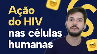 Fisiopatologia do HIV - Tudo sobre o Vírus e Infecção