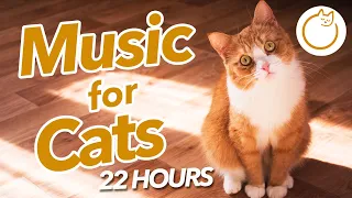 LONGEST EVER Music for Cats - 22 Hours of Soothing Melodies