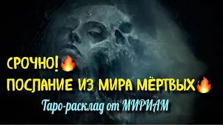 🔥СРОЧНО! ПОСЛАНИЕ ИЗ МИРА МЁРТВЫХ🔥 Гадание Онлайн Таро Расклад Мириам Таро