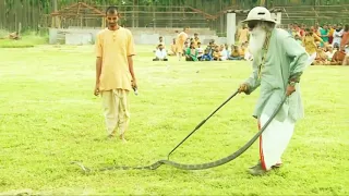 Sadhguru handling a King Cobra