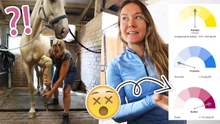 Een VRESELIJKE uitslag voor DIKKE paarden + NACHO bij de OSTEOPAAT! | felinehoi VLOG #464
