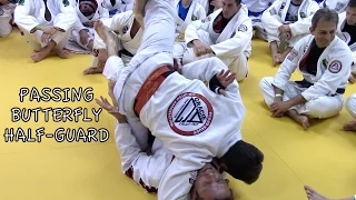 BUTTERFLY HALF-GUARD PASS with Master Pedro Sauer