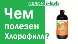 Обзор iHerb. Чем полезен Хлорофилл?