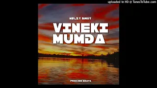 Nelzy Bwoy -VINEKI MUNDA (Audio) 2023