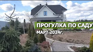 ПРОГУЛКА ПО САДУ МАРТ 2024г. | Ответы на вопросы...и про 1000 луковиц тюльпанов