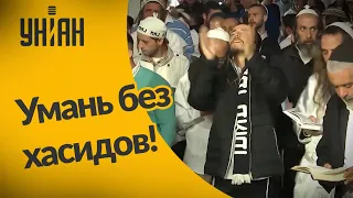 Как в этом году Умань прожила без хасидов?