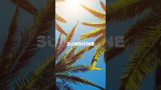 [FREE] Lo fi Type Beat "Sunshine" | Chill Instrumental || Prod. @TundraBeats