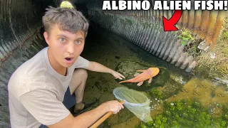 CATCHING ALBINO ALIEN FISH in HIDDEN TUNNEL!