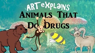 Which Animals Do Drugs? | ARTexplains