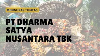 DSNG WEBINAR: Mengupas Tuntas PT Dharma Satya Nusantara Tbk