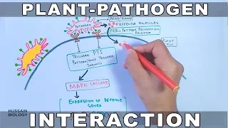 Plant Pathogen Interaction | Signalling