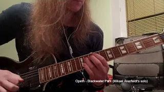 Opeth - Blackwater Park (Mikael Åkerfeldt's guitar solo)