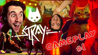 👉 STRAY  #1 🐱 ( ATENCIÓN al MICHI HÉROE) | JakeMate Serie