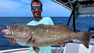 MASSIVE! Rusty Belly Gag Grouper Trying out Strikelines Hardbottom HD Charts