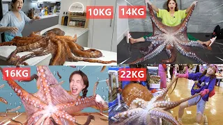 The biggest octopus VS Mukbanger Ssoyoung,The maximum weight is 22kg