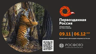 Трейлер к выставке «Первозданная Россия» || Exhibition "Pristine Russia"