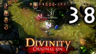 Divinity: Original Sin (PS4) Прохождение #38: Леса Лукуллы