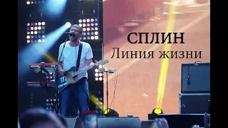 Сплин - Линия жизни 20.08.2017 (фестиваль фейрверков РОСТЕХ)