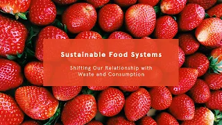Sustainable Food Systems: Shifting Our Relationship with Waste and Consumption