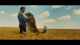 A Dog's Journey | Trailer