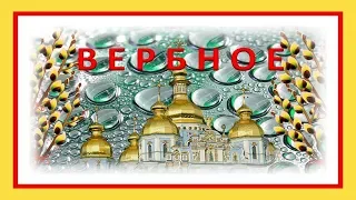 Воскресенье вербное! Веточка вербы к православному празднику