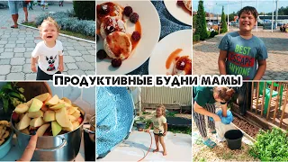 Будни мамы/Яблочное пюре на зиму/Готовим участок/Навестили Сеню/Покупки продуктов