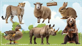 Cute Little Animals Making Funny Sounds Cheetah, Sheep, Rabbit, Duck, Rhinoceros, Bear
