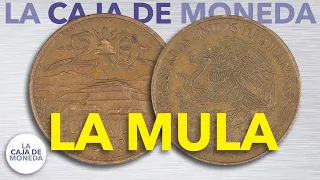 ¿Tienes una moneda mula? La moneda mula de 1973 - Precio & Info