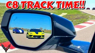 Corvette Car Show & How Good Is the C8 On The Track?