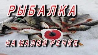 Кайф! Рыбалка на малой речке, зимняя рыбалка со льда