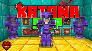 How I Became The Strongest player on this Lifesteal SMP.....| KATANA SMP | Minecraft