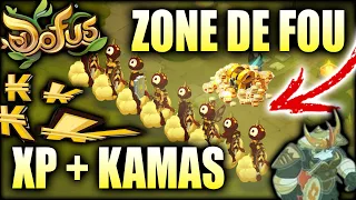 DOFUS : une ZONE ULTRA RENTABLE pour faire FULL KAMAS et XP en masse ! ( Île de Grobe ) #teamsadida