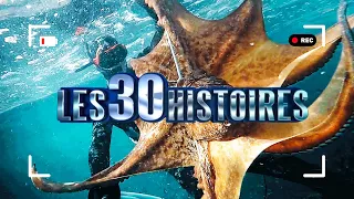 Les 30 histoires les plus INCROYABLES ! (Vous allez être surpris..) - P022013