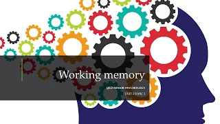 Working Memory