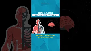 É assim que o álcool destrói seu cérebro... #alcool