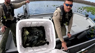 BLACK CRAPPIE Cooler Check by GAME WARDENS on Withlacoochee River