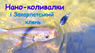 Нано коливалки і Закарпатський клень