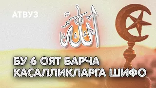 Бу 6 Оят Барча Касаллик Учун Шифо! Барча Касаллик учун Аллоҳнинг Тухфаси!