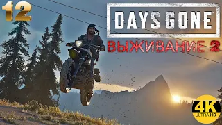 Days Gone💀Жизнь После НА 100%!💥МАКСИМАЛЬНАЯ СЛОЖНОСТЬ ВЫЖИВАНИЕ 2! РЕЛИЗ НА ПК!💀Прохождение #12►4K