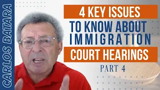 Deportation And Removal Guide (Part 4) - The Six Roles Of Your Immigration Attorney