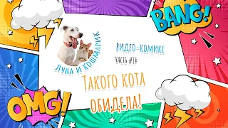 Луна и Кошмарик. #14. Такого кота обидела!