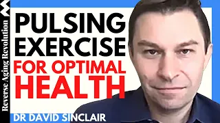 PULSING Exercise To Optimize OUR HEALTH | Dr David Sinclair Interview Clips